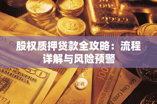 北京股权质押贷款全攻略：流程详解与风险预警