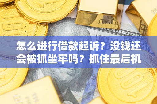 北京怎么进行借款起诉？没钱还会被抓坐牢吗？抓住最后机会！