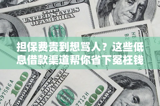 北京担保费贵到想骂人？这些低息借款渠道帮你省下冤枉钱