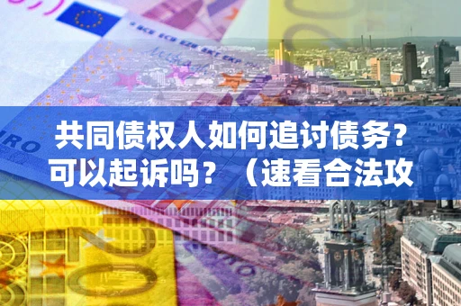 北京共同债权人如何追讨债务？可以起诉吗？（速看合法攻略）