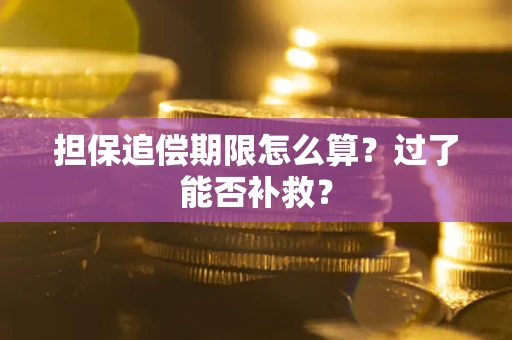 北京担保追偿期限怎么算？过了能否补救？